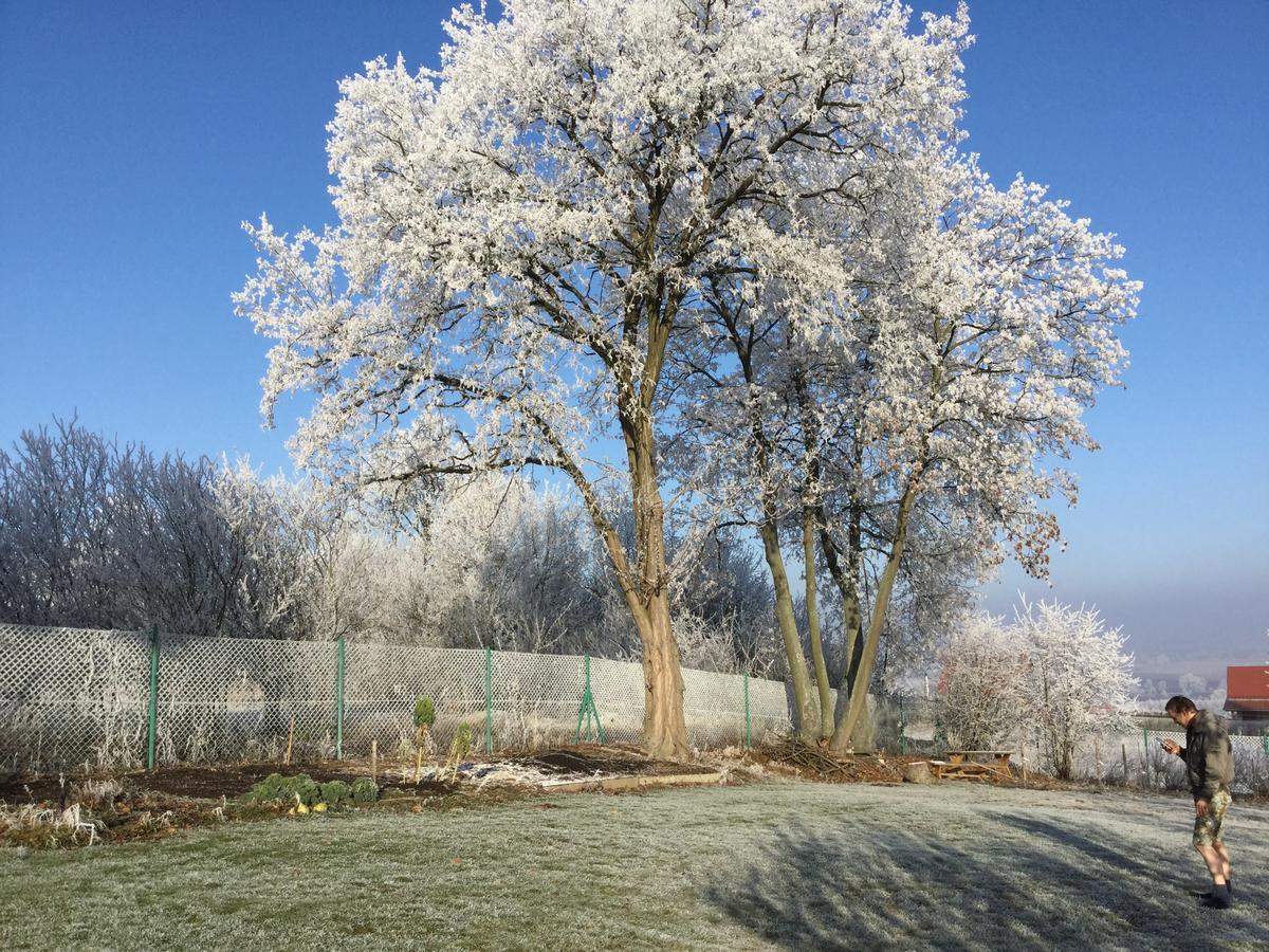 Justyna Villa Pardubice Dış mekan fotoğraf